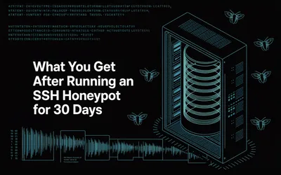 What You Get After Running an SSH Honeypot for 30 days